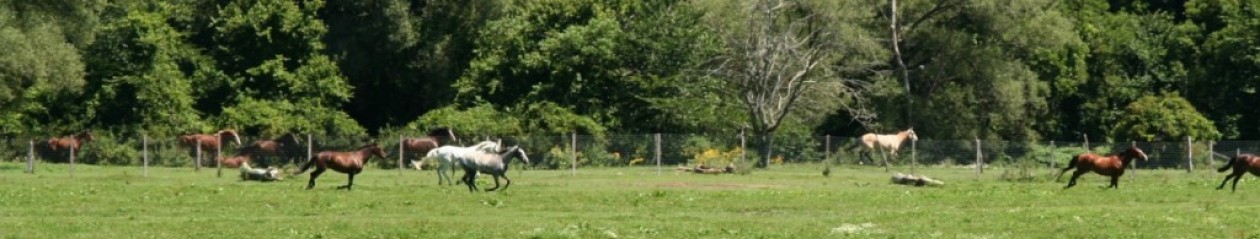 Bonnie Lea Farm